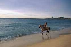 Horseback riding on beach, Costa Rica