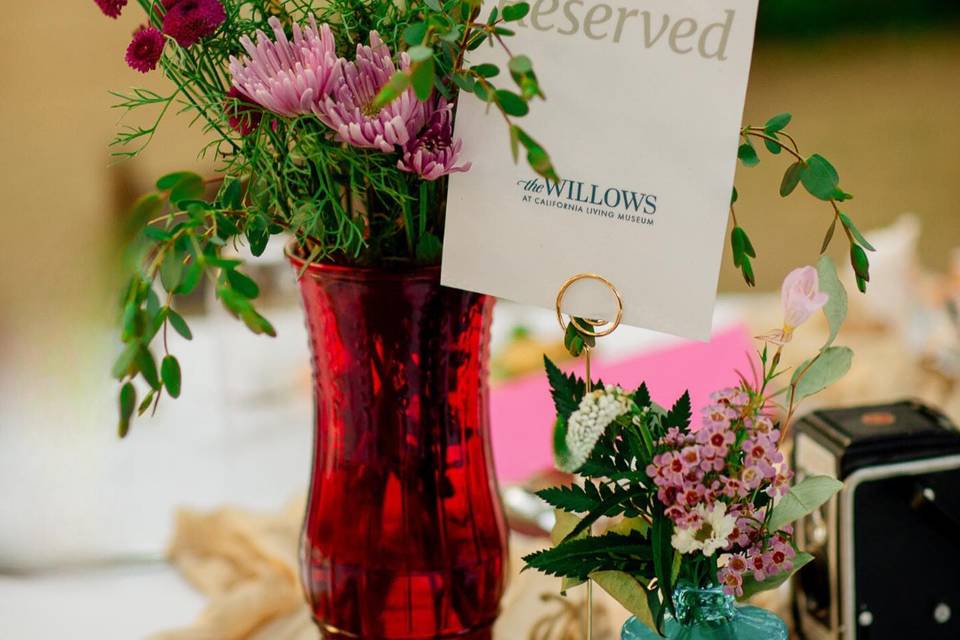 The Willows at CALM