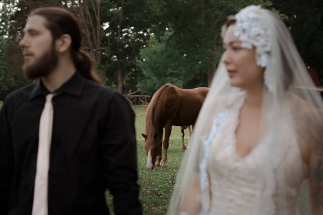 A horse