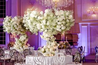 Daphnee Lauren Events