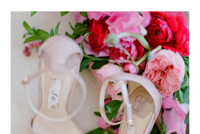 Kate Whitcomb Collection