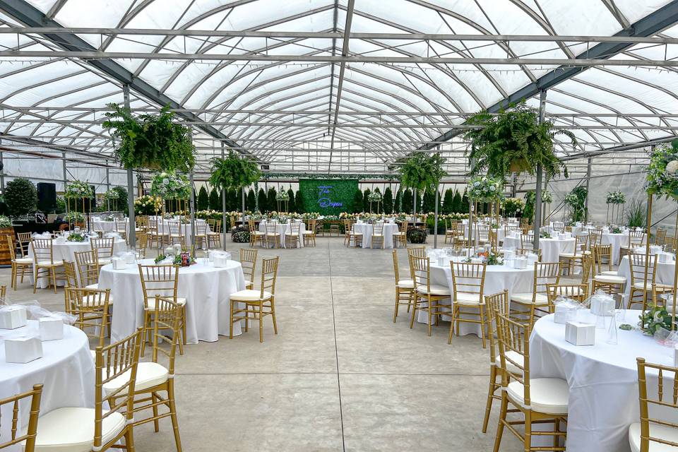 Greenhouse Reception