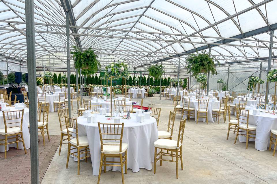 Greenhouse Reception