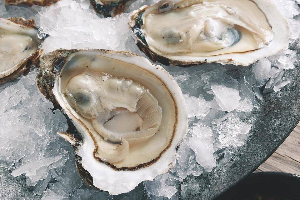 Oysters on the half shell