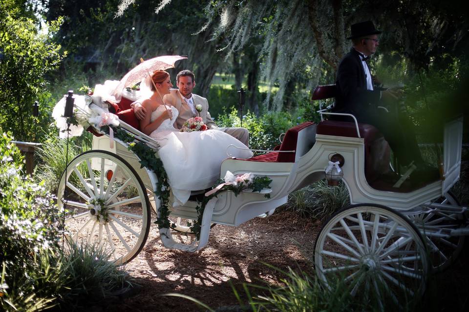 Hanging wedding dress