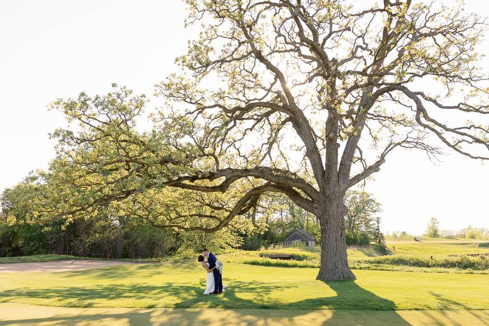 Strawberry Creek Wedding