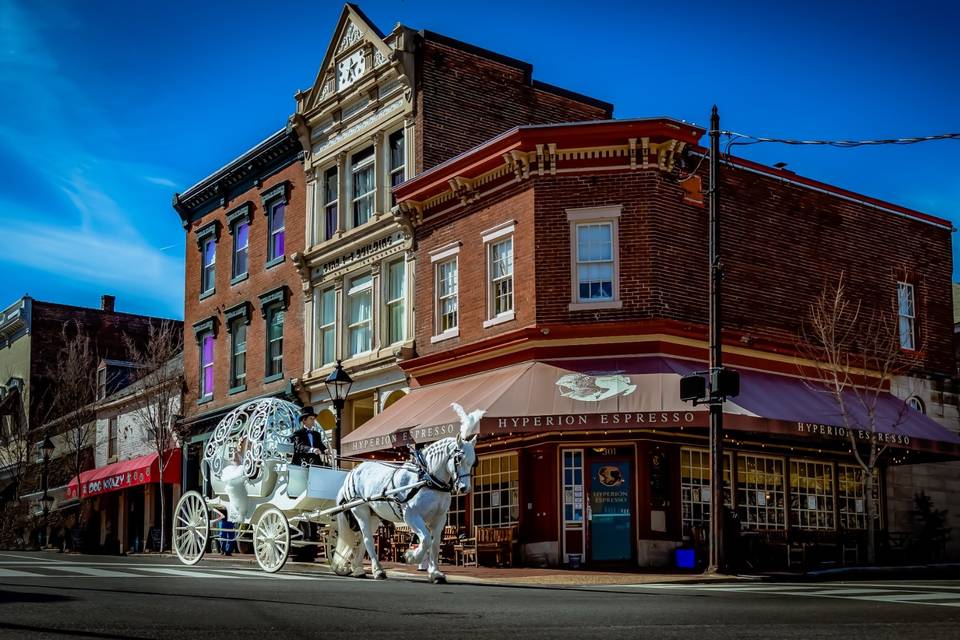 Enchanted carriage ride