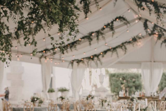 PRIMROSE Floral & Event Design