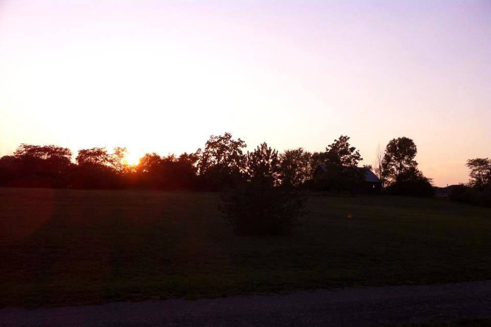 Grandfather's Barnlandscape