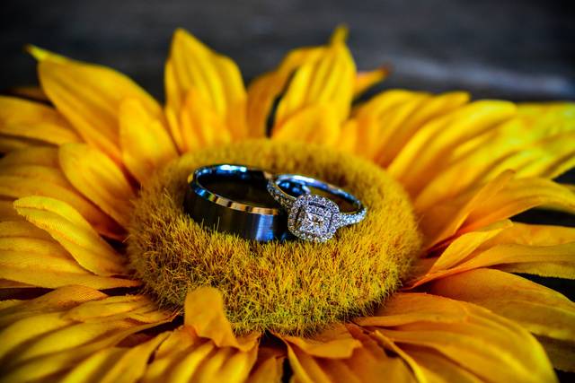 Photography By Melissa Barnette