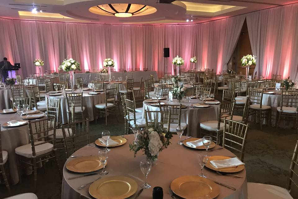 Draping, Uplighting, Chairs