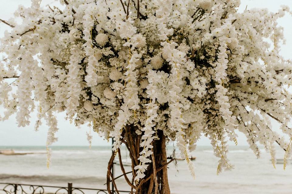 Cherry blossom tree