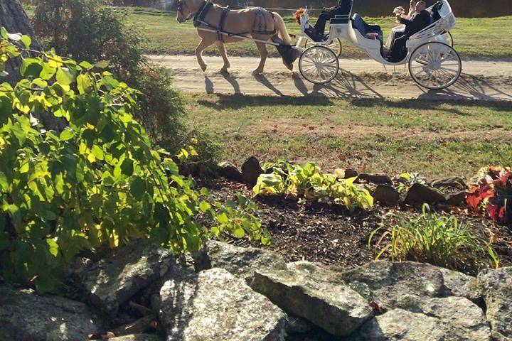 Linda and Jeff wedding - Oct. 15, 2016 - Wood Acres Farm (Terryville, CT)