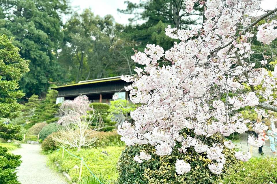 Hakone Estate and Gardens