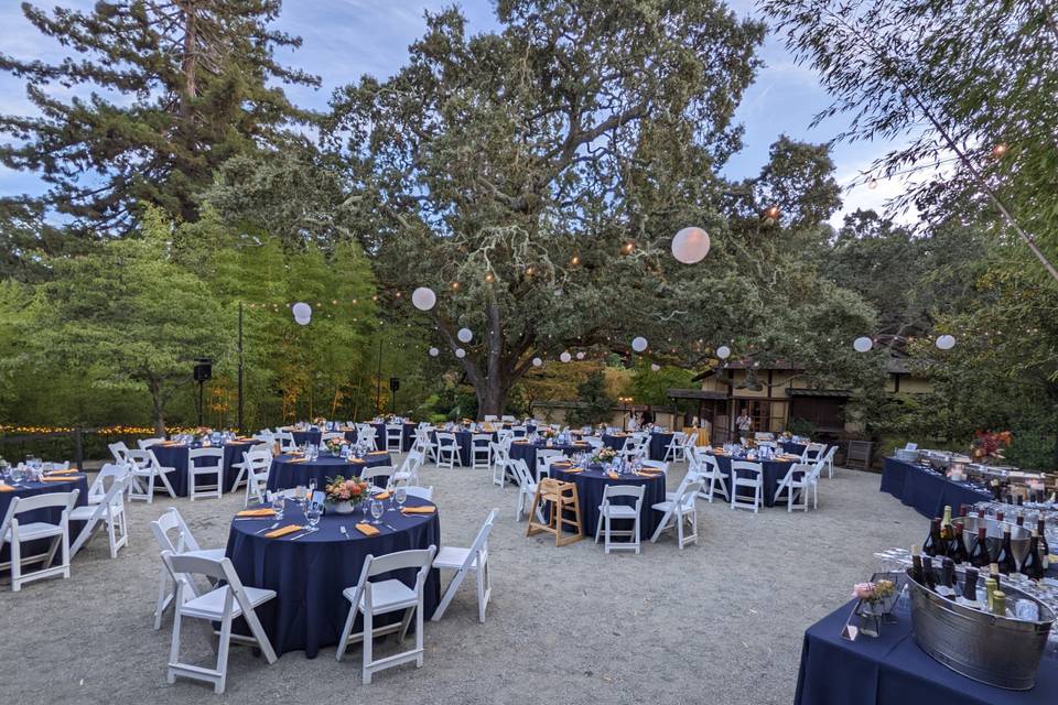 Madrone Mound Reception