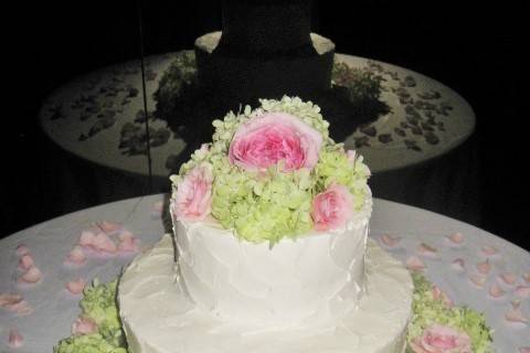 Flowers surrounding the cake