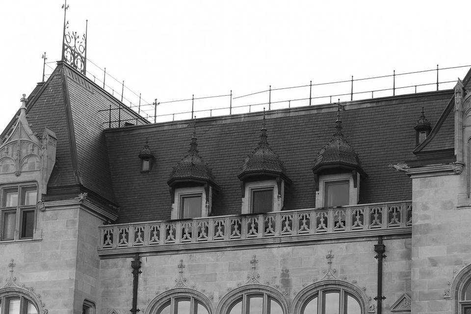 Top view back