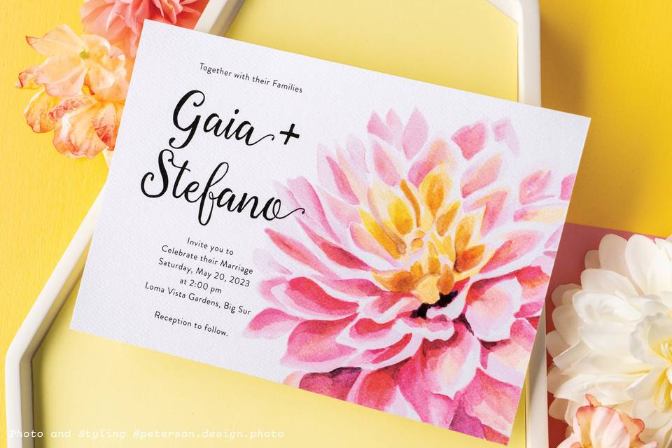 Sole Invitations