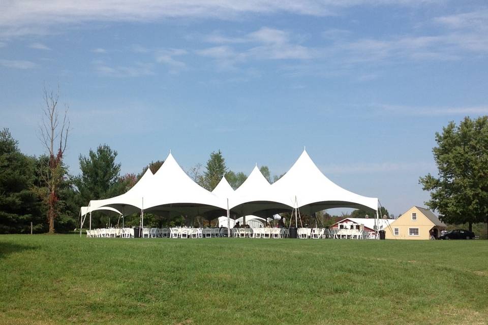 Clear skies for a wedding