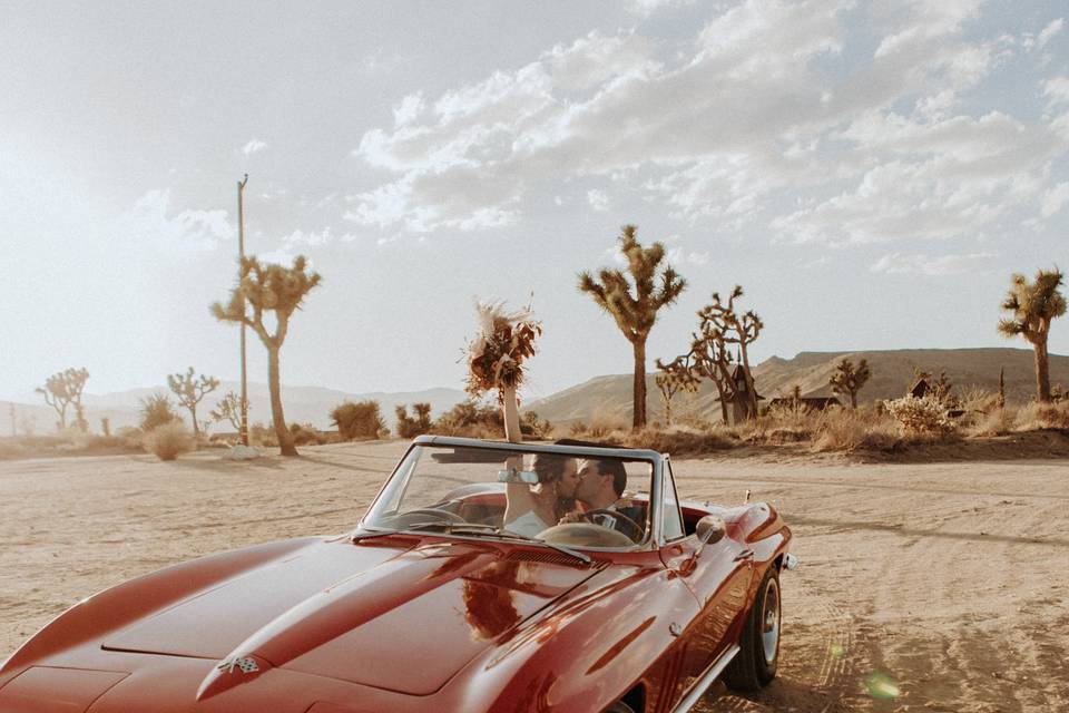 Vintage Joshua Tree Elopement