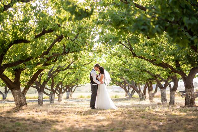 Tiffany Lauren Photography