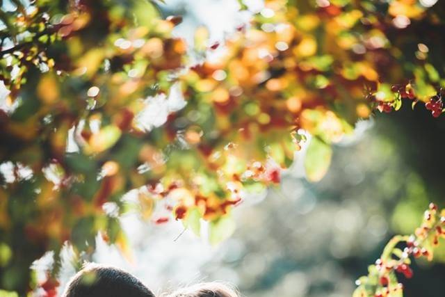 Rachel Shomsky Photography