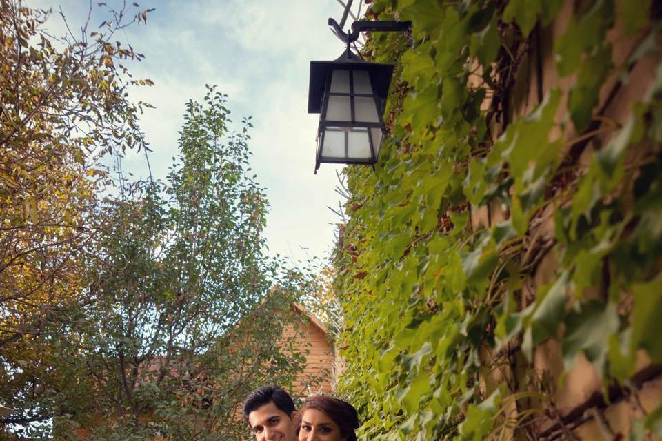 Melikophotography