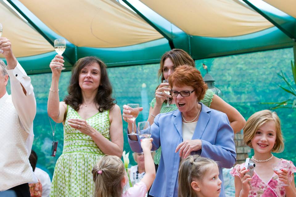 Wedding guests toasting