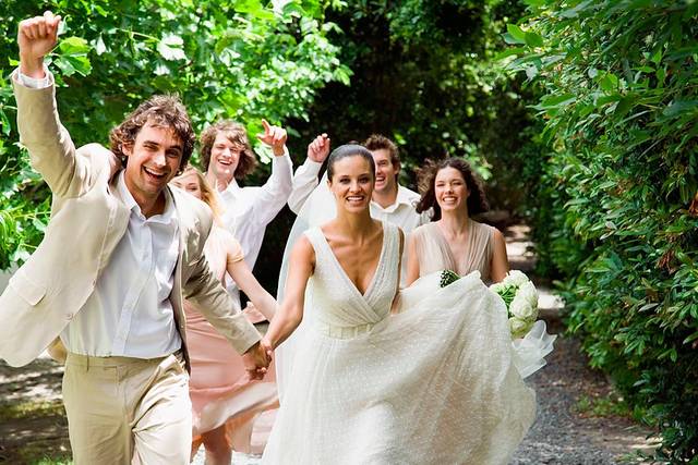 The couple with the bridesmaids and groomsmen