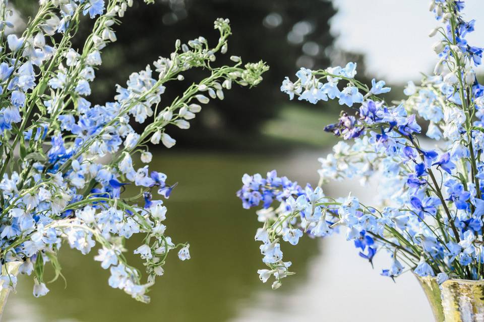 Floral arrangements