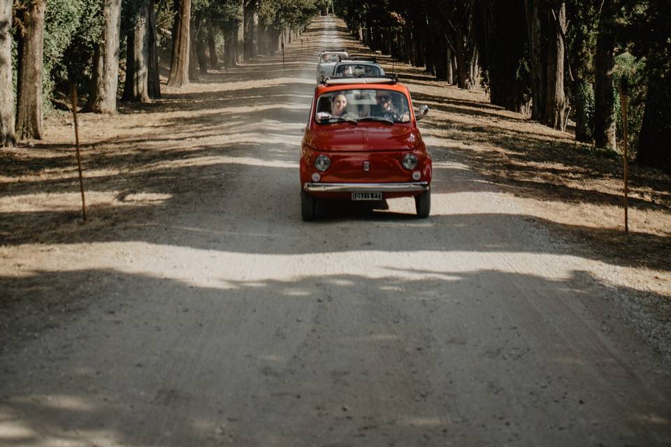 An iconic Tuscan view