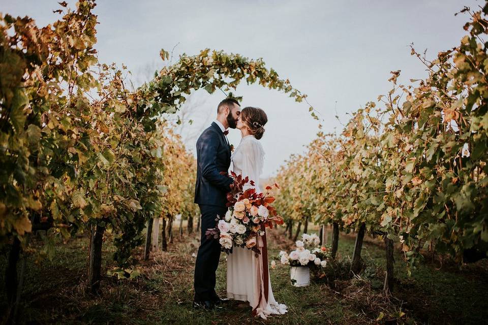 Elopement in the vineyard