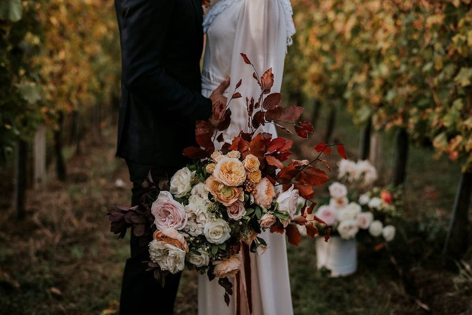 Elopement in the vineyard