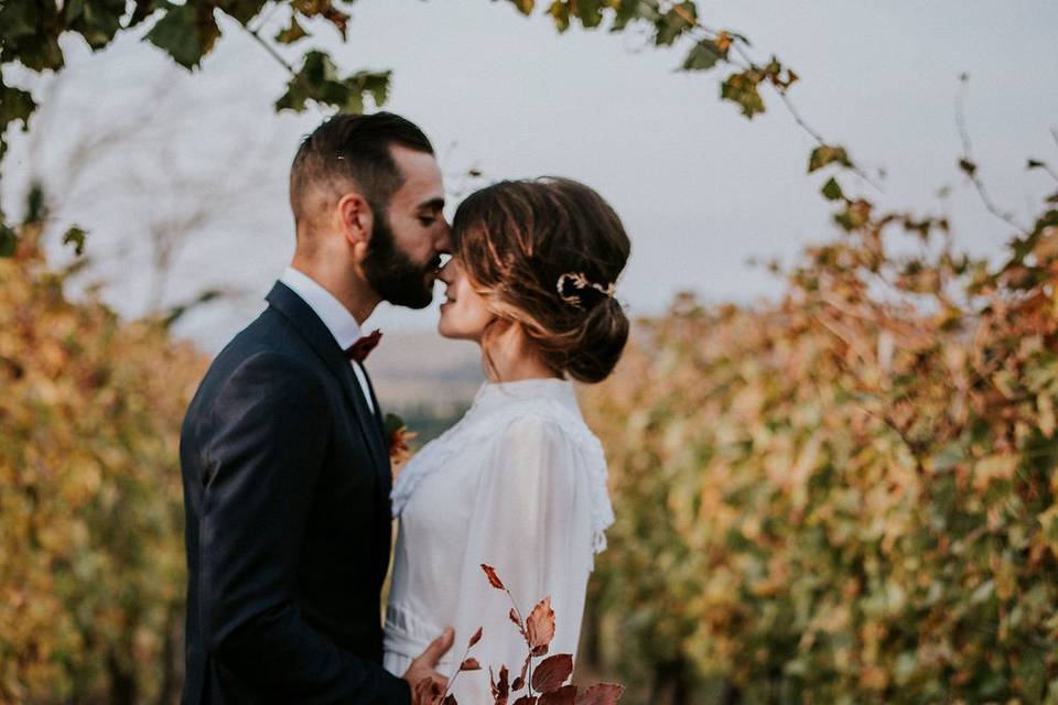 Elopement in the vineyard