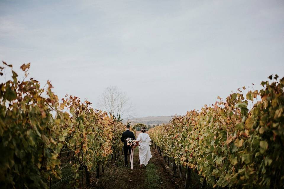 Elopement in the vineyard