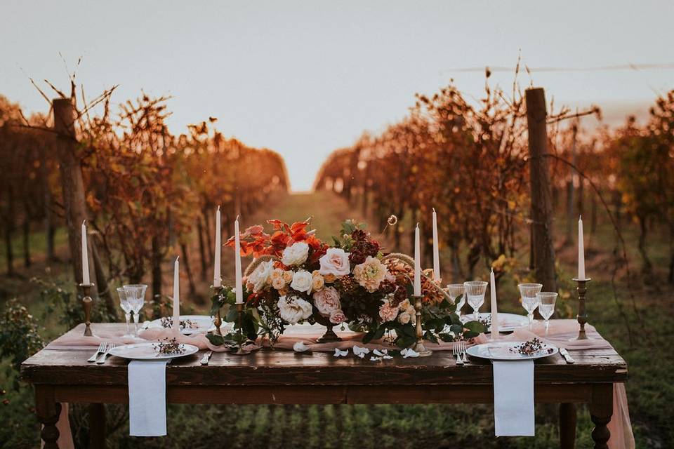 Elopement in the vineyard