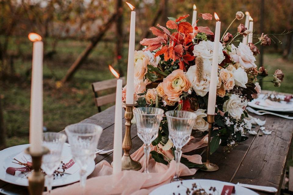 Elopement in the vineyard