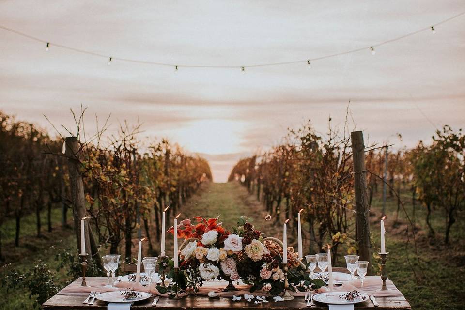 Elopement in the vineyard