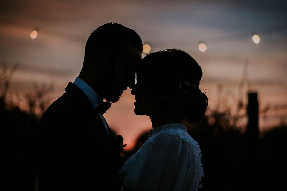 Elopement in the vineyard