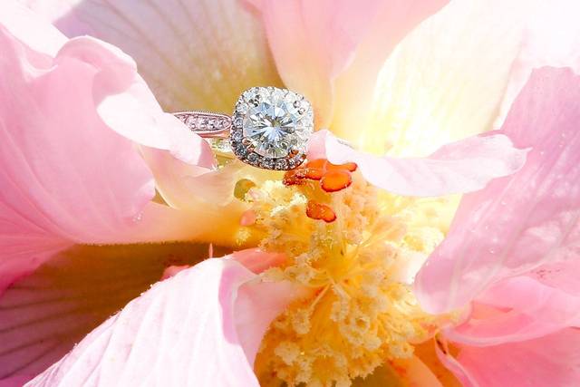 Fleur de Lis Photography
