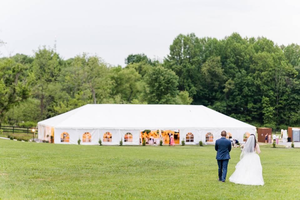 40x100' cathedral window tent