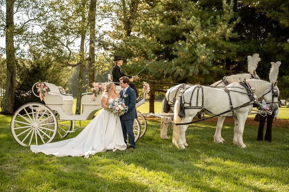 Diana's Horse Drawn carriage