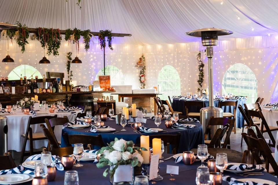 Elegant 40 x 100' tent