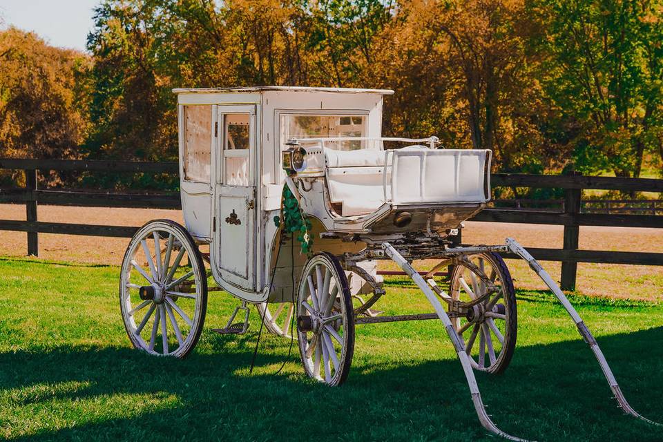 NY horse drawn carriage