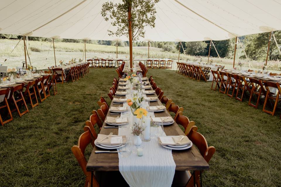 Dinner under a tent