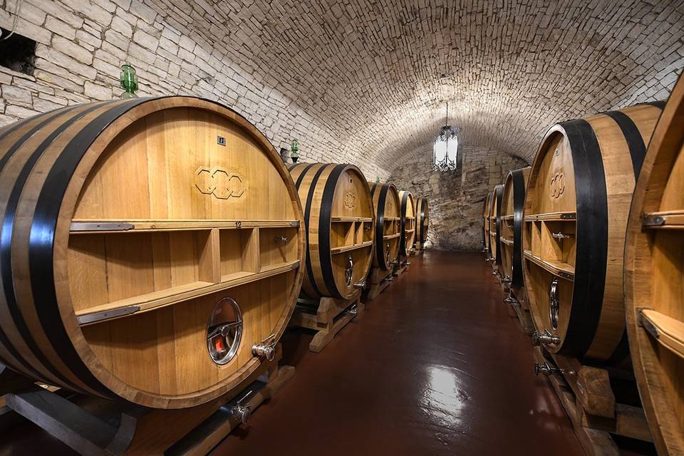The wine cellar Torrevento