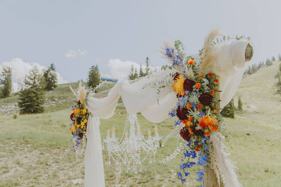 Ceremony Arch