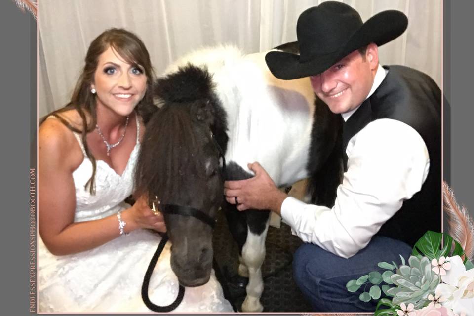 Mini horse as ringbearer