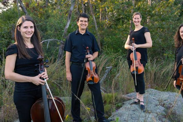 The Cahaba Creek String Quartet