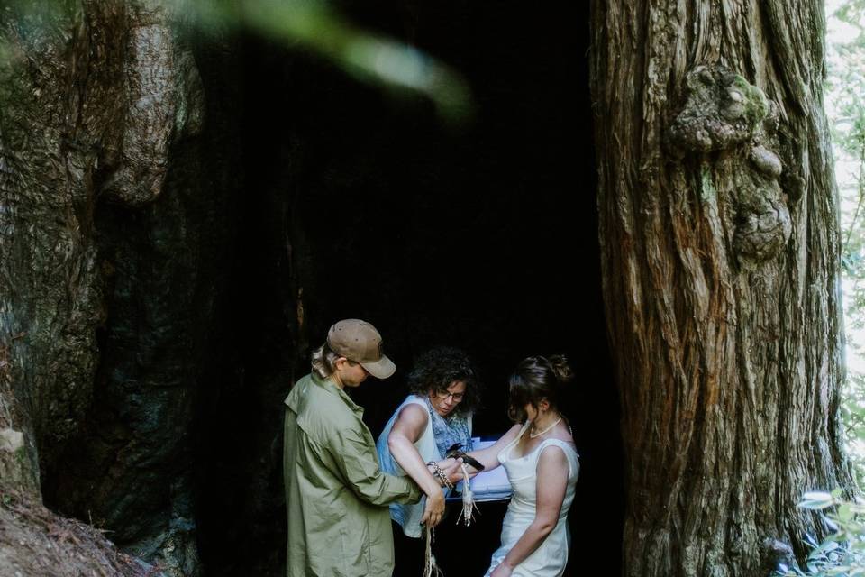 Hiking Adventure Elopement